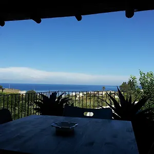 Corallo Malfa (Salina)