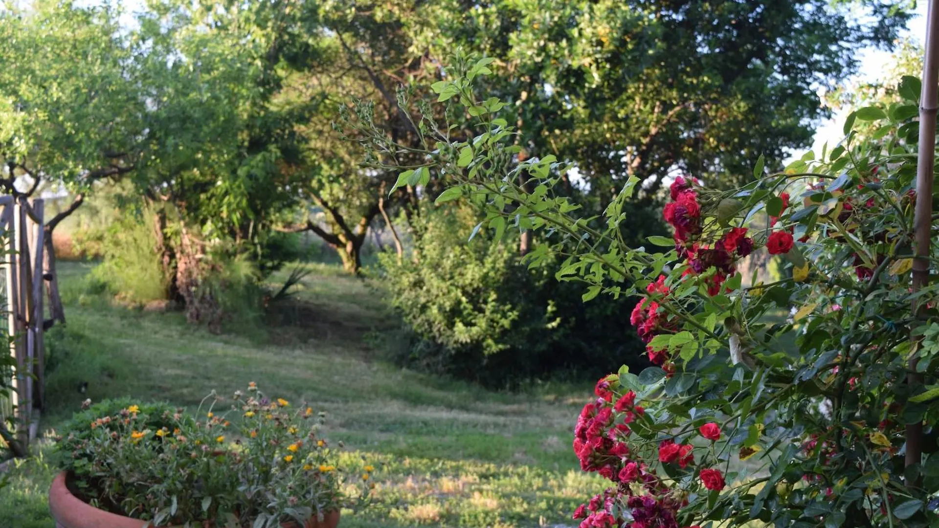 Casa de Férias Il Saragio Vila Abbadia di Montepulciano