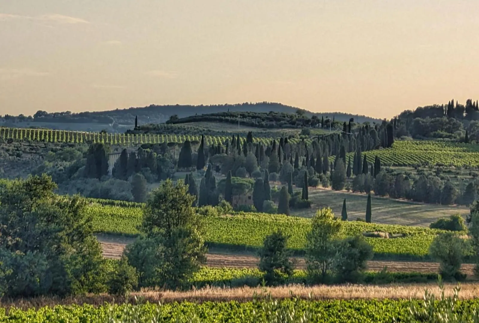 Il Saragio Vila Abbadia di Montepulciano